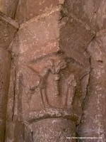 TOSCOS GRIFOS