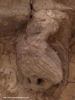CANECILLO CON ARP&Iacute;A
