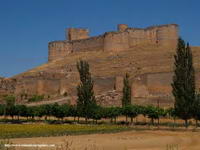 CASTILLO DE BERLANGA