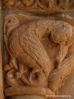 DETALLE DE LA ARP&Iacute;A MEJOR CONSERVADA