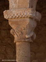 DECORACI&Oacute;N ANIMAL&Iacute;STICA
