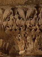 LEONES Y &Aacute;GUILAS