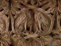 AVES ENREDADAS EN LAZOS VEGETALES