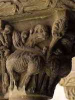 LEONES
