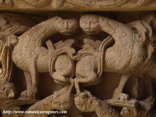 LEONES DE CUELLO ALARGADO