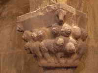 LEONES