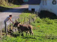 ENTORNO BUCÓLICO DEL TEMPLO