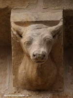 TORO