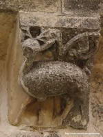 CERVATILLO