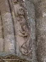 DETALLE GUARDAPOLVO