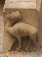 CAMELLO