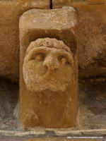 LE&Oacute;N DE OJOS SALTONES