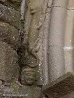DETALLE DEL GUARDAPOLVO