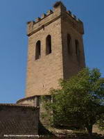 TORRE ALMENADA DE CORTE DEFENSIVO.