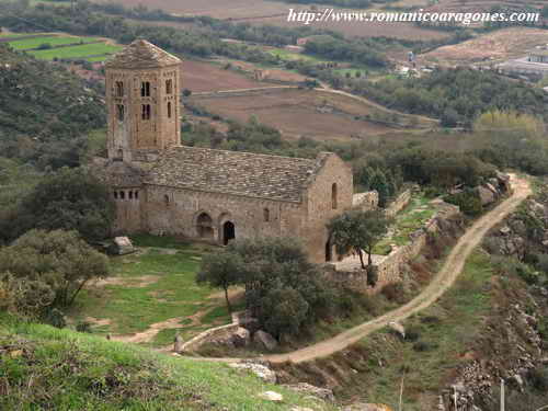 COLEGIATA VISTA DESDE LA TORRE