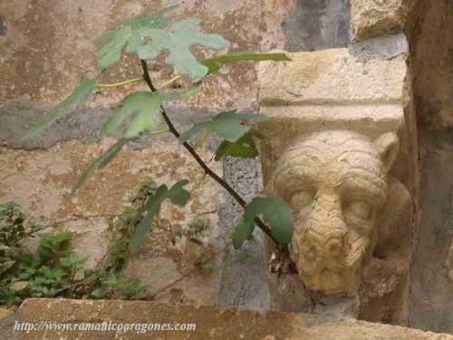 MÉNSULA SOBRE LA PORTADD,  CON CRECIMIENTO DE HIGUERA