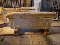 DETALLE DE LOS SARC&Oacute;FAGOS