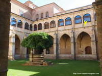 CLAUSTRO G&Oacute;TICO