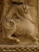 TETRAMORFOS: SAN LUCAS