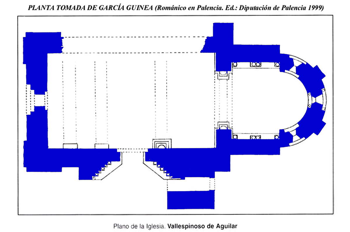 PLANTA, SEGN GARCA GUINEA