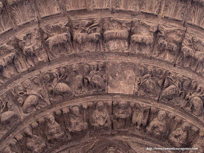 DETALLE DE LAS ARQUIVOLTAS